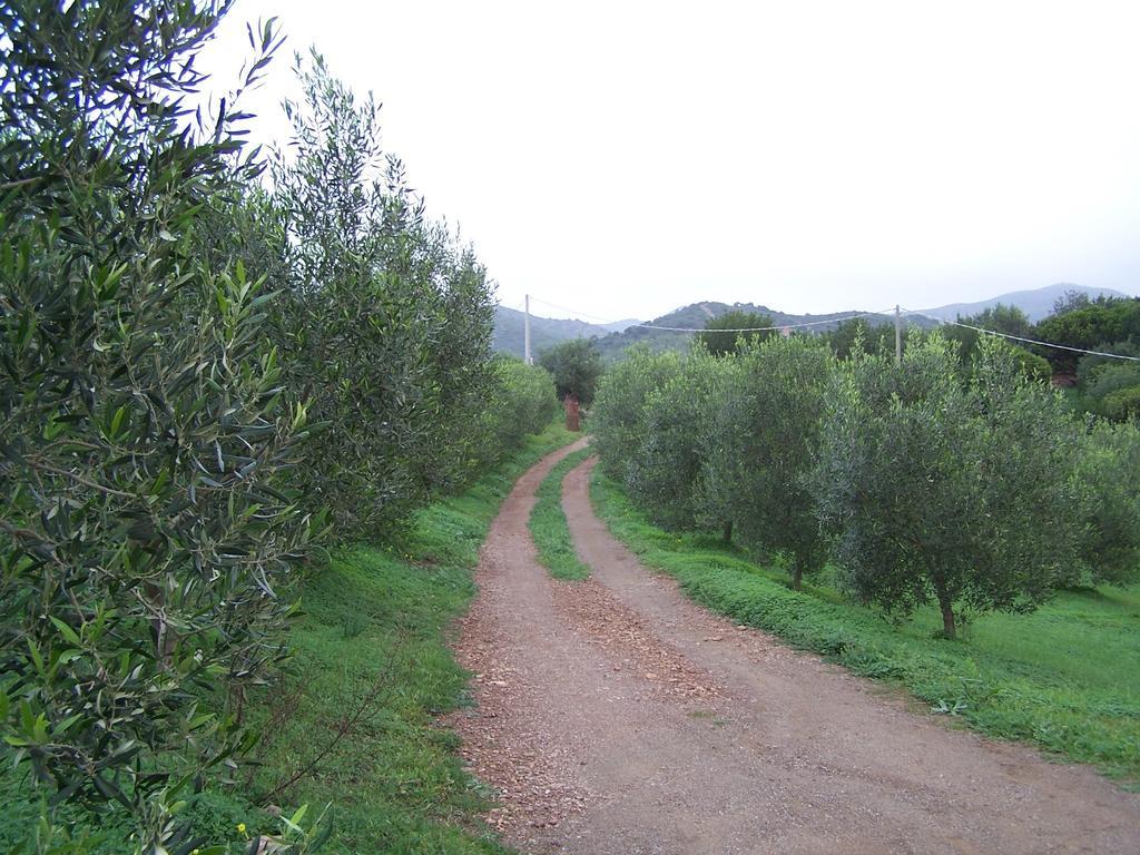 Nurazzolas Villaputzu Exteriör bild